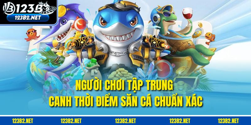 Người chơi tập trung canh thời điểm săn cá chuẩn xác.